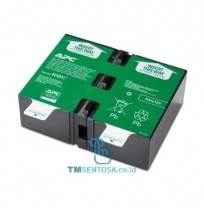 Replacement Battery Cartridge #165 - APCRBC165