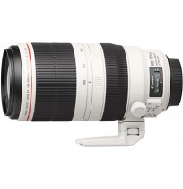 EF 100-400mm f/4.5-5.6L IS II USM Lens