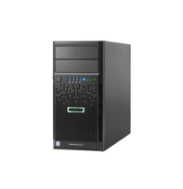HP Proliant ML30G9-069 (1TB, OS)
