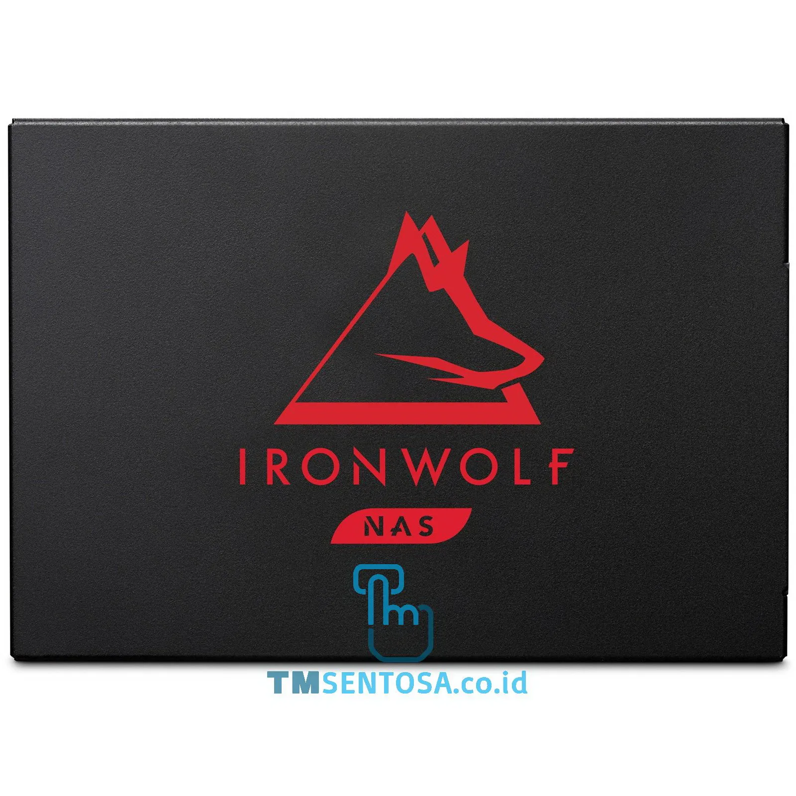 IronWolf 125 2TB [ZA2000NM1A002]