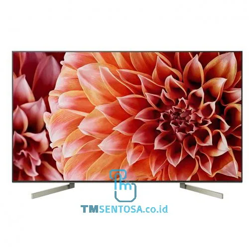 55 Inch Android TV UHD KD-55X9000F