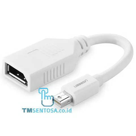 Mini Display Port to Display Port Converter 15cm - 10445