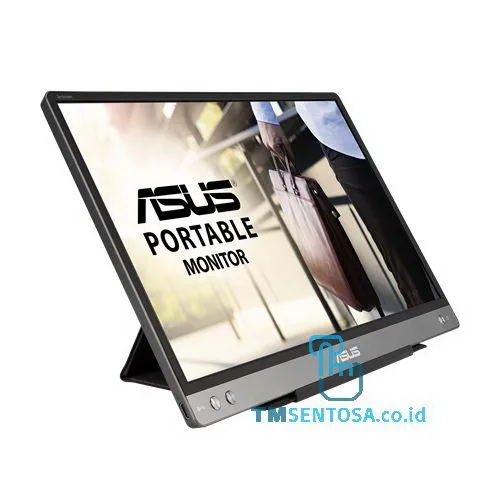 Portable Monitor MB14AC