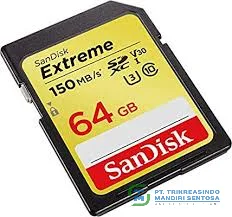 EXTREME SDXC SDXV6 64GB [SDSDXV6-064G-GNCIN]