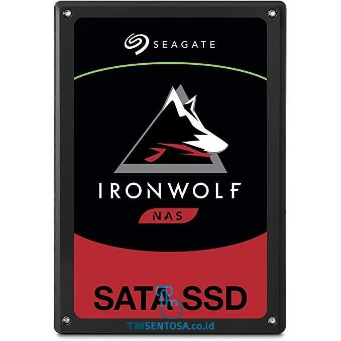 IronWolf 110 480GB [ZA480NM10011]