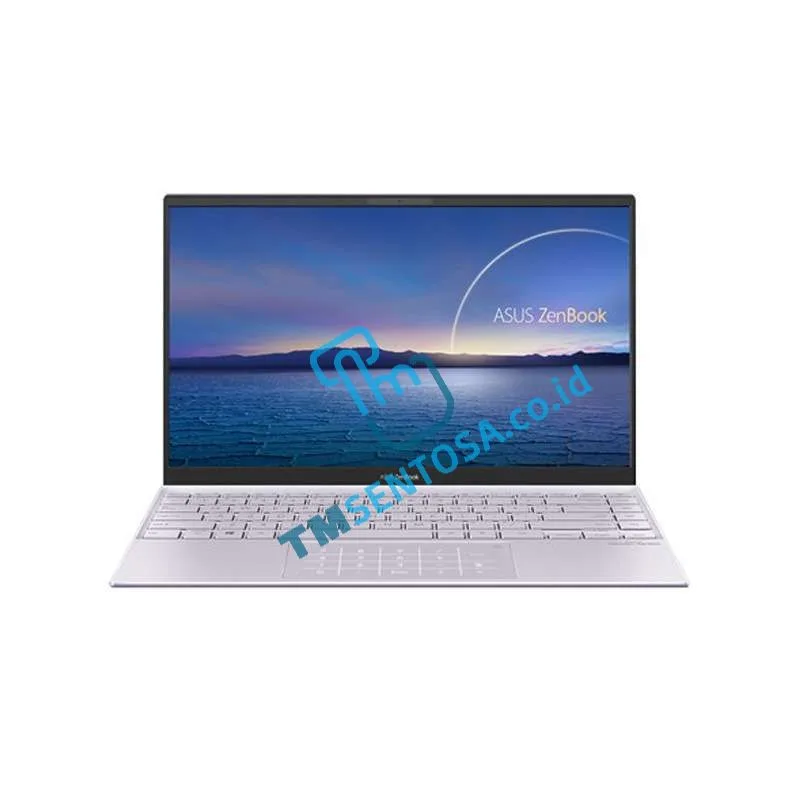 ZENBOOK UM425IA-AM502S [Ryzen5, 8GB, 512GB, Win10]