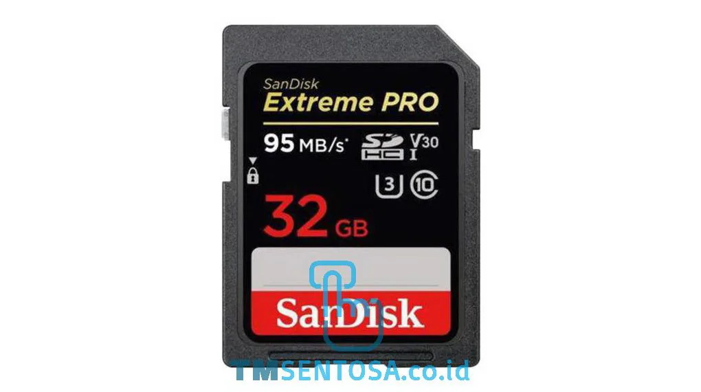 Extreme Pro 32Gb [SDSDXXG-032G-GN4IN]