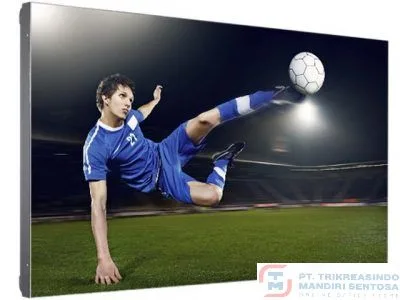 VIDEO WALL [55VM5B]