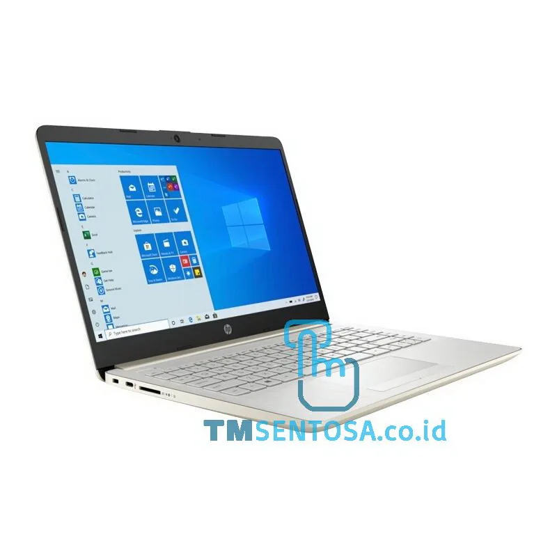 Laptop 14s-cf2076TU (i3-10110U, 4GB, 256GB, WIN10, 14IN) - GOLD