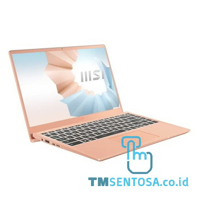 Modern 14 B11SB (i7-1165G7, 16GB, 512GB, WIN10H, 14IN) - 9S7-14D215-219 - Beige Mousse