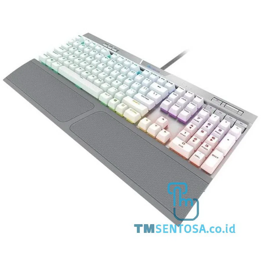 Mechanical Gaming Keyboard K70 RGB MK.2 SE  Silver CherryMX Speed [CH-9109114-NA]