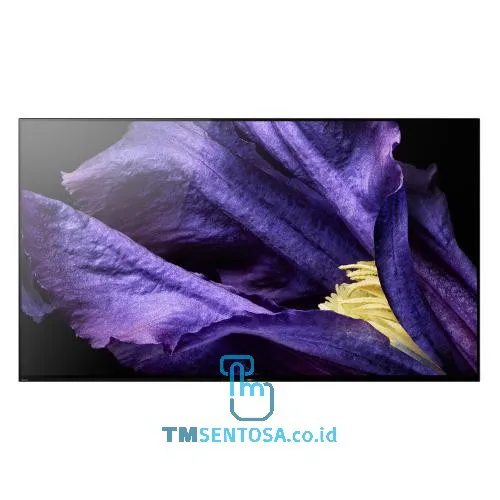 65 Inch OLED Smart TV UHD KD-65A9F