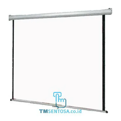 Wallscreen WS 70"