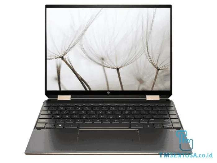 Spectre X360 14-EA0030TU [ i7-1165G7, 16GB, 1TB SSD, Win10] Black