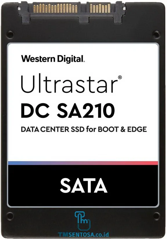 ULTRASTAR DC SA210 M.2-2280 7.0MM 960GB [0TS1656]