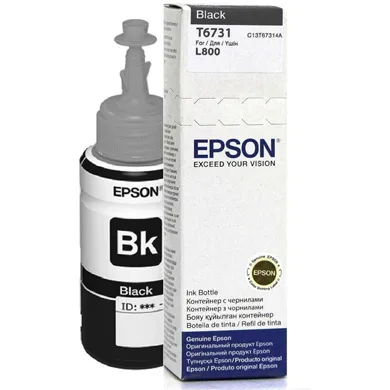 Black Ink Cartridge L-800 (T6731)