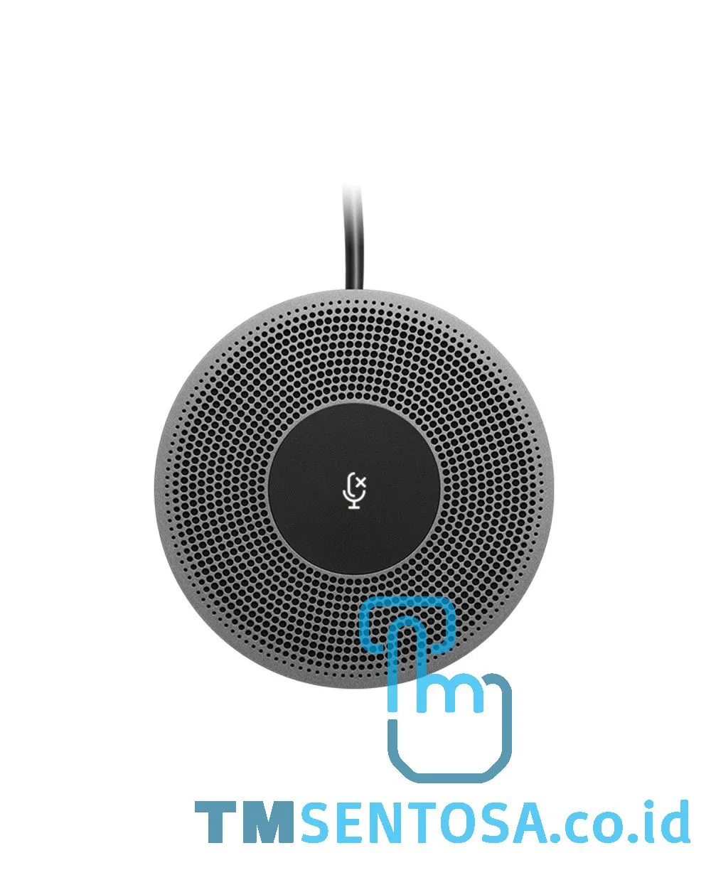 Expansion Mic for MeetUp 989-000405