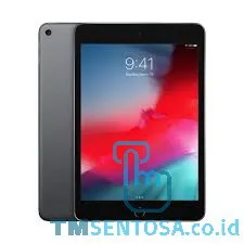 ipad mini 5 wifi only 256GB