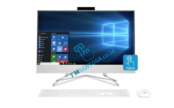 PC AIO 24-DF1008D  [i5-1135G7, 8GB, 1TB, 23,8 inch, WIN10]