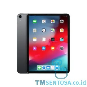 IPAD PRO 11 WIFI  CELL 256GB - SPACE GREY