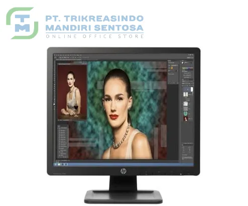 ProDisplay P19A 19 Inch [D2W67AA]