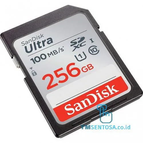 Ultra SDHC 256GB Class 10 [SDSDUNR-256G-GN6IN]