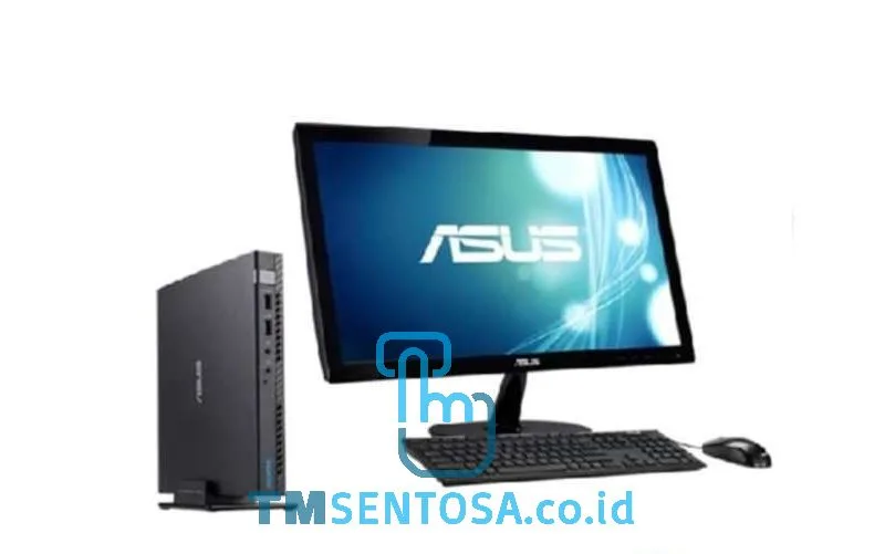 E520-7100PLUS i3-7100T, 4GB, 500GB, 21.5 Inch, WIN10