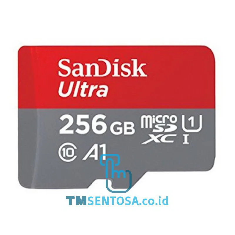 ULTRA MICROSDHC 256GB [SDSQUAR-256G-GN6MN]