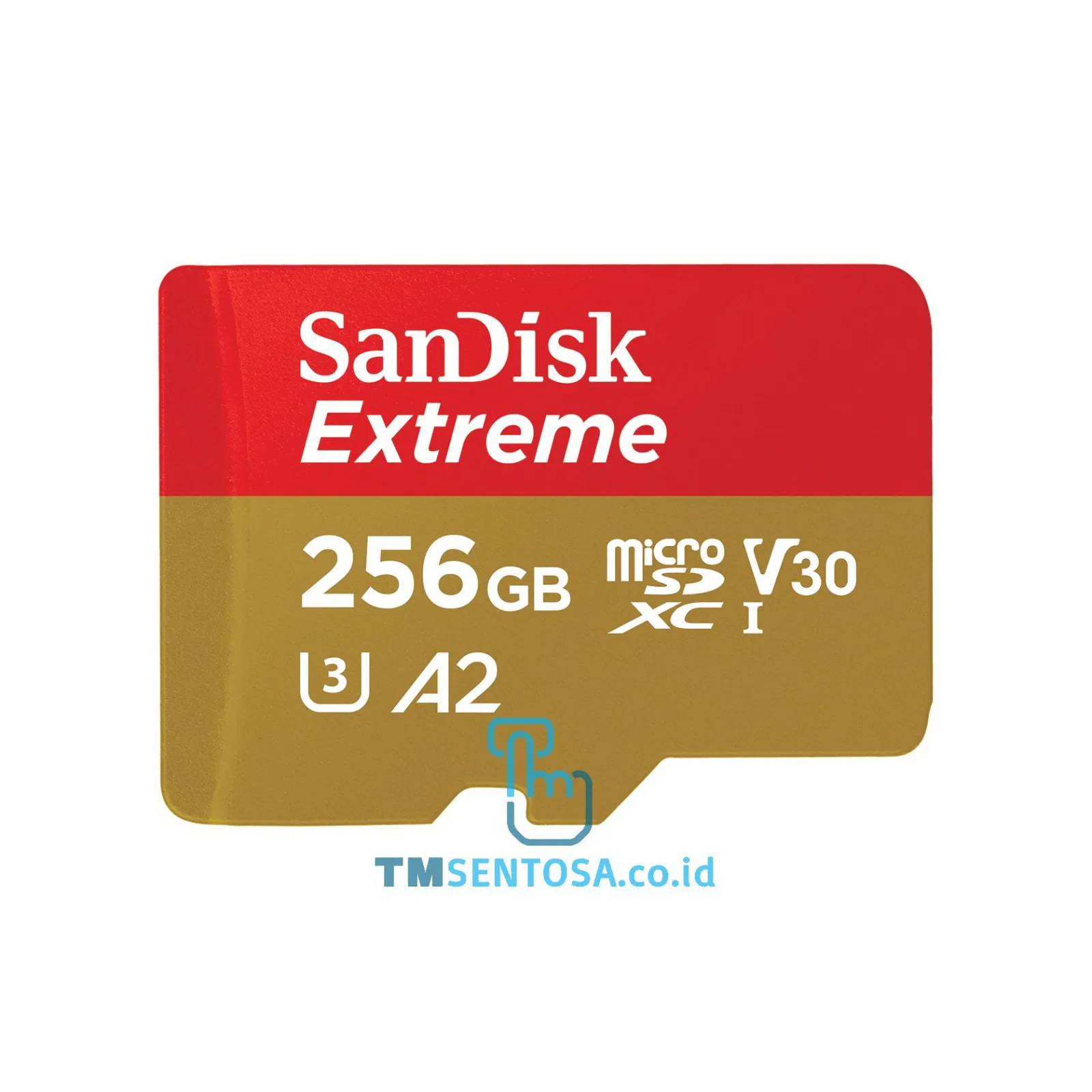 Extreme microSDXC, SQXA1 256G [SDSQXA1-256G-GN6GN]