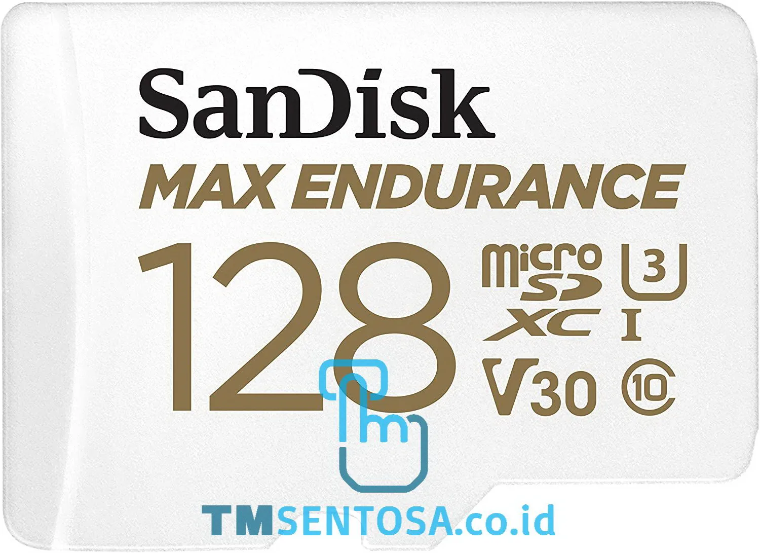 MAX Endurance microSDXC SDSQQVR-128G-GN6IA
