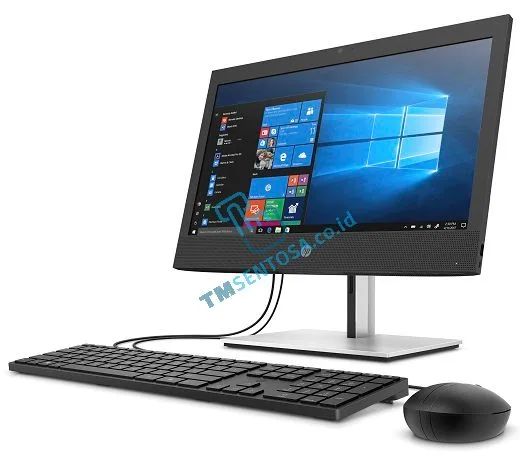 Proone 400 G6 AiO [i7-10700T, 8GB, 1TB, Radeon 630, 23,8 inch, Win10] 333W2PA