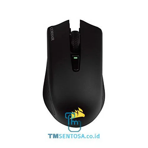 Gaming Mouse Harpoon RGB Wireless [CH-9311011-NA]