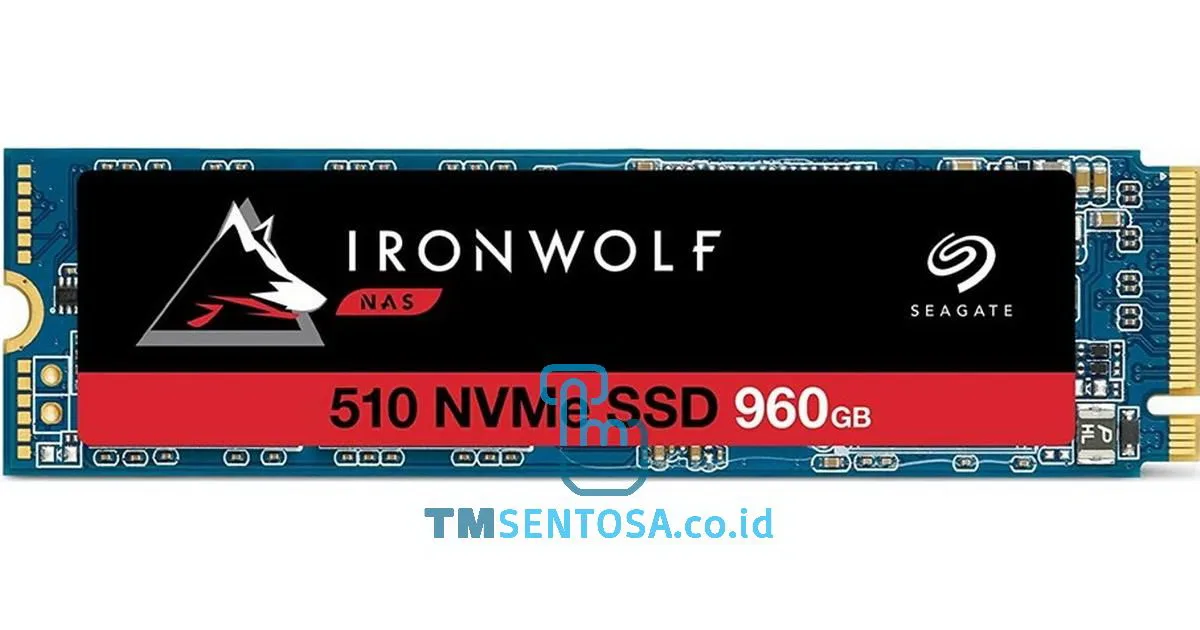 IronWolf 510 960GB [ZP960NM30011]