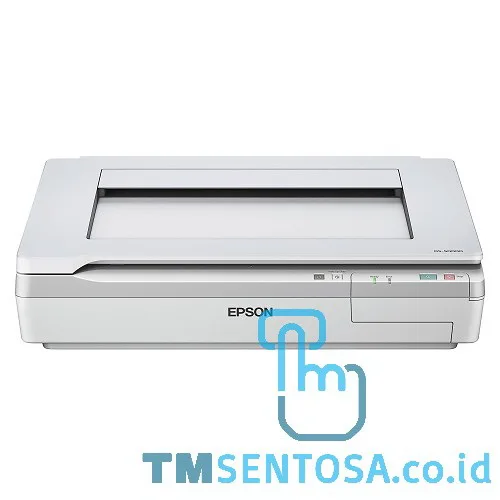 SCANNER WORKFORCE DS-50000