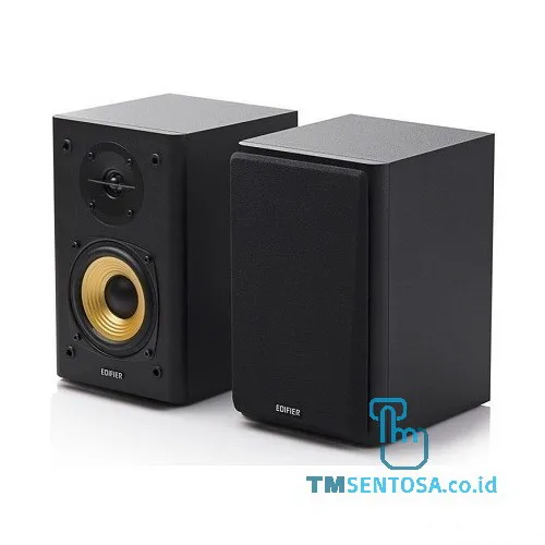Speaker 2.0 R1000T4 - Black