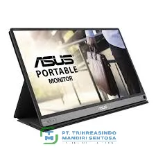 MONITOR MB16AP