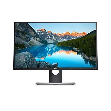 P2317H 23 Inch Monitor