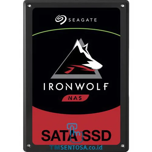 IronWolf 110 960GB [ZA960NM10011]