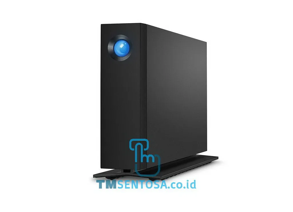 D2 PROFESSIONAL USB C 7200RPM 4TB [STHA4000800]
