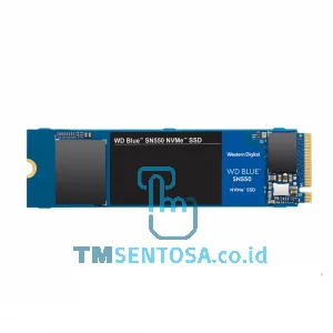 BLUE WDS500G2B0C