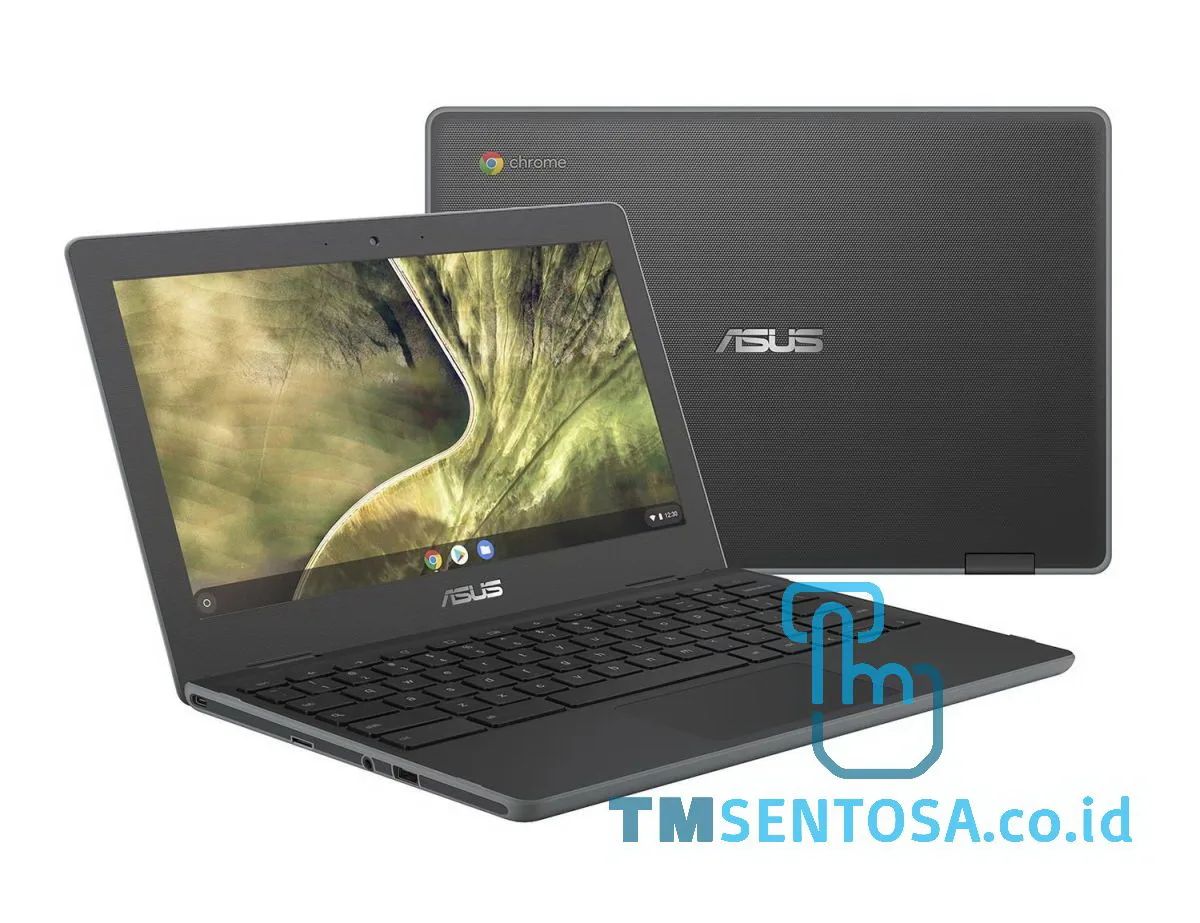 Chromebook C204MA-BU1431 ( Celeron N4020, 4GB, 32GB EMMC, Chrome OS, 11.6IN)