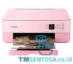 PIXMA TS5370 MULTIFUNCTION INKJET PRINTER - PINK