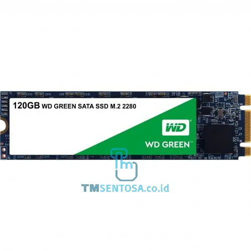 SSD GREEN M.2 120GB [WDS120G2G0B]