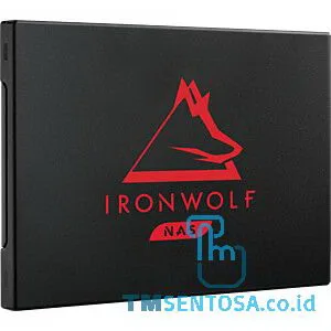 IronWolf 125 500GB [ZA500NM1A002]