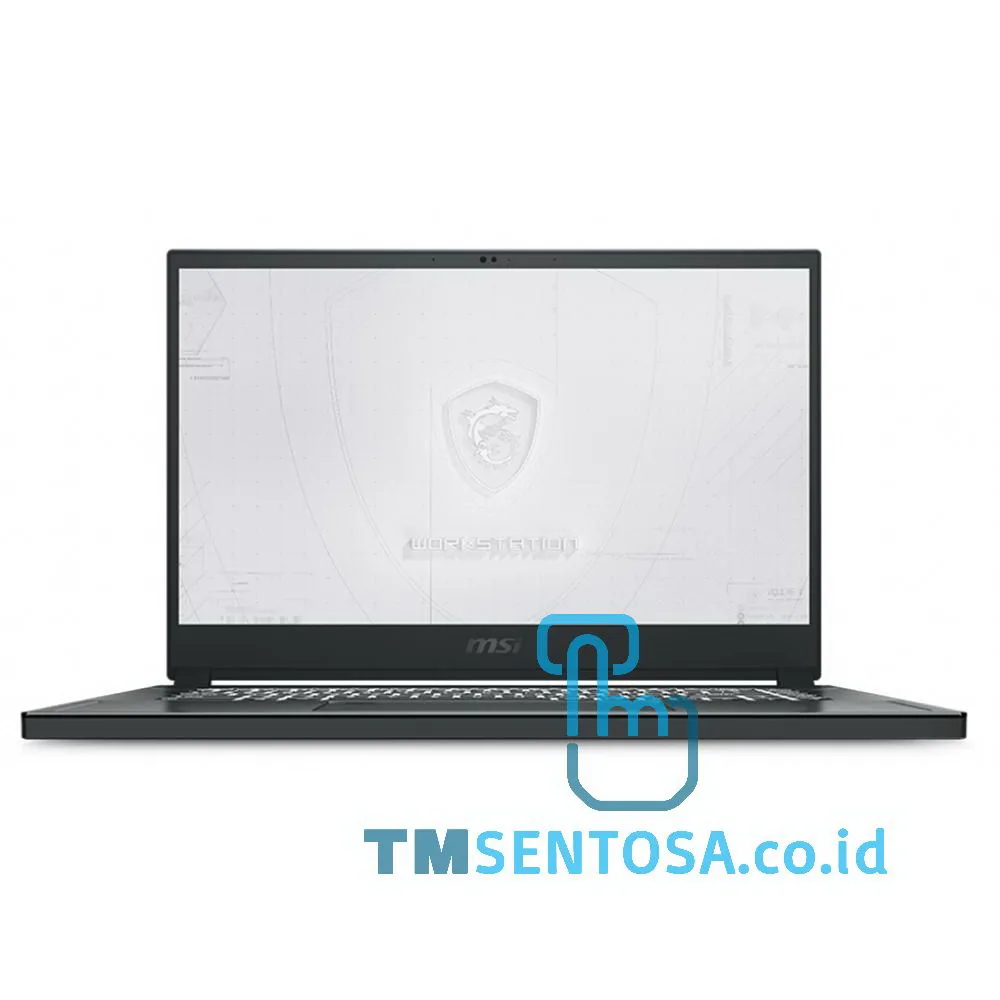 Mobile Workstation WS66 10TK (i7-10875H, 32GB, 1TB, WIN10H, 15.6IN) - 9S7-16V215-270