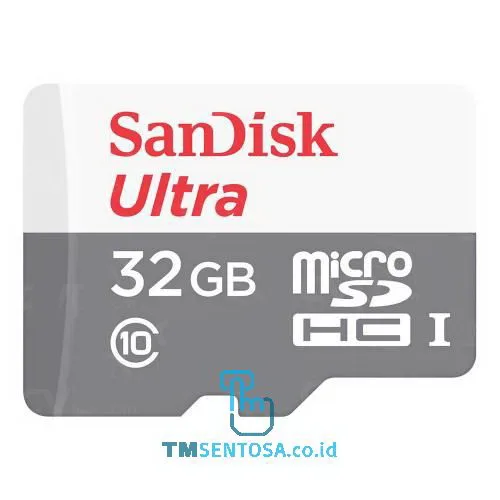 Ultra MicroSDHC 32GB Class 10 [SDSQUNR-032G-GN3MN]