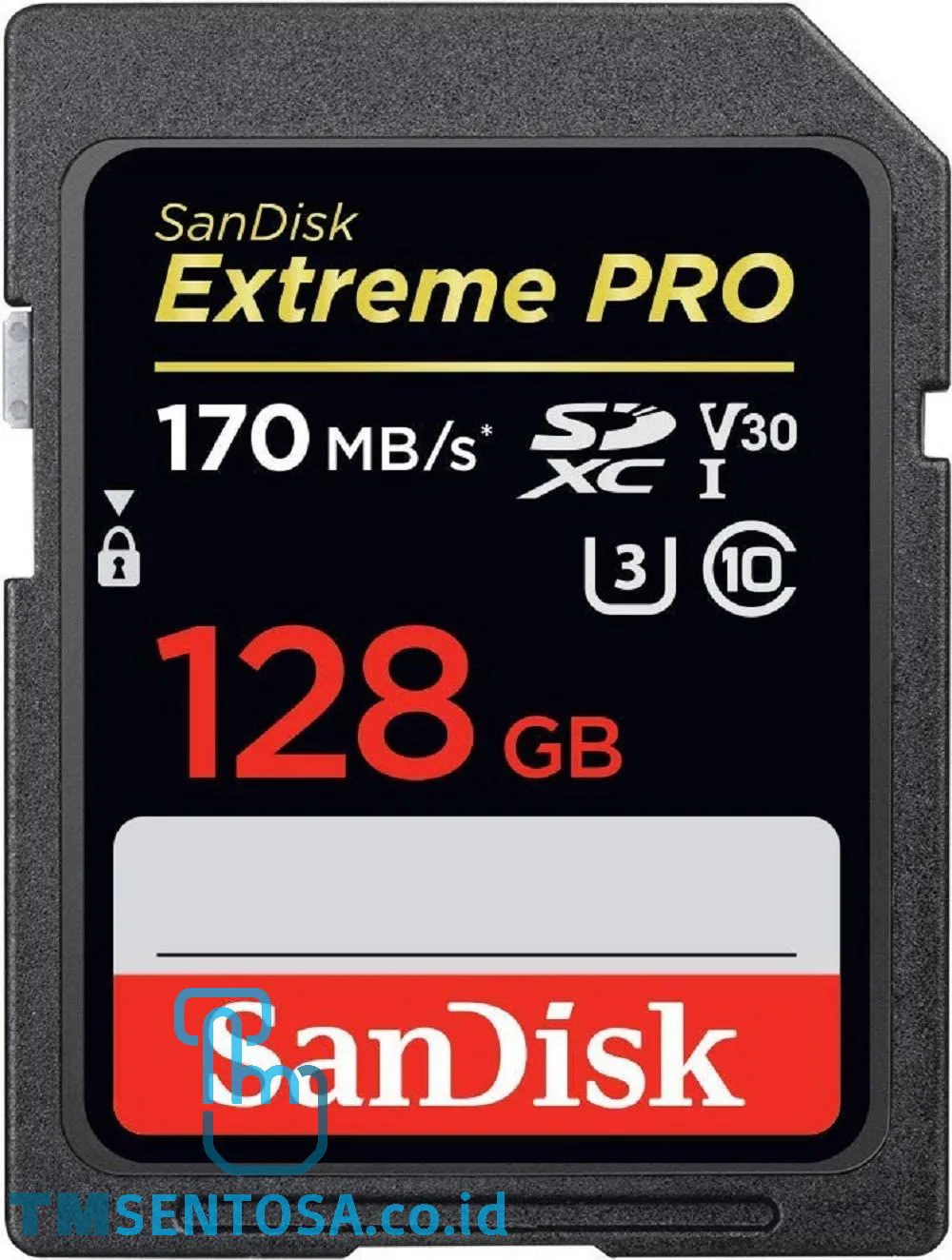 Extreme Pro SDXC, SDXXY 128GB [SDSDXXY-128G-GN4IN]