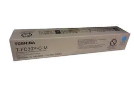 Toner 6AG00004749 T-FC30P-C-M