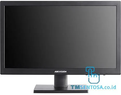 MONITOR DS-D5019QE-B