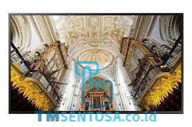 TV SMART SIGNAGE QB65N